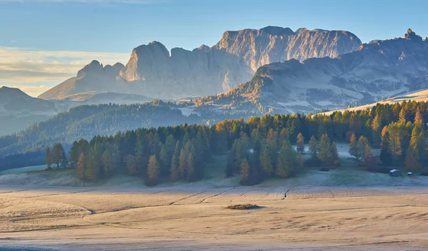 Aerial Autumn Sunrise Scenery Yellow Larches Small Alpine Building Odle — Zdjęcie stockowe