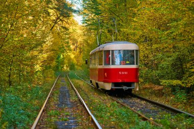 Yönlendirme sonbahar orman yolu boyunca kırmızı retro tramvay gider