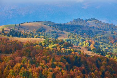 Dağların sonbahar manzarası renkli ormanlarla dolu.
