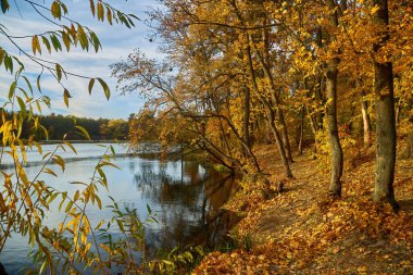 Sonbahar manzara renkli orman ile. Güneş Sarı paysage. Pastırma yazı manzara. Göl ile güzel ormanda kırmızı ve sarı renk üzerine renkli yeşillik. Suya yansıyan sonbahar orman.