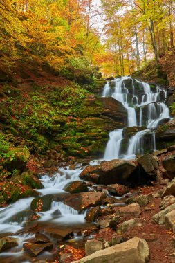 Sonbahar ormanındaki nehir şelalesi. Sonbahar ormanı şelalesi. Sonbahar ormanında şelale. Sonbahar şelalesi manzarası
