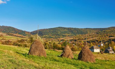 Sonbahar manzarası, otlaktaki saman yığınları, dağların manzarası. Karpatlar..
