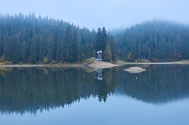 Sonbaharda Synevyr Dağı 'nın manzarası. Sabahları güzel doğa manzarası. Kıyıdaki ladin ormanı. Synevyr Ulusal Parkı, Ukrayna