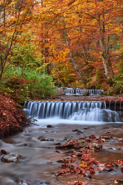 Flusswasserfall Herbstwald Herbstlicher Waldwasserfall Wasserfall Herbstwald Herbstliche Wasserfalllandschaft — Stockfoto