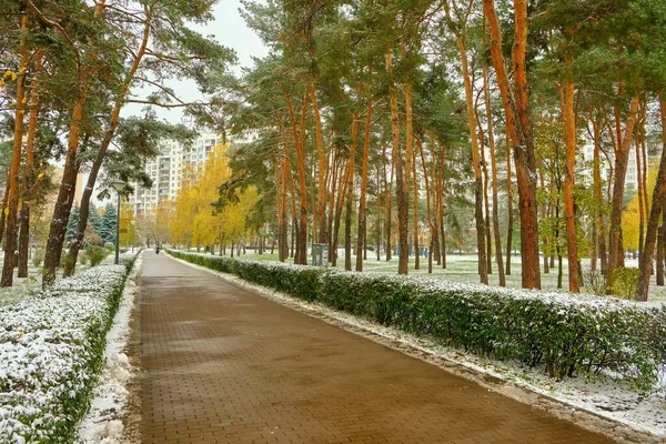 Prima Nevicata Luminoso Parco Cittadino Colorato Autunno Panchina Solitaria Vicolo — Foto Stock