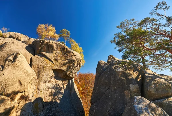 Rocas Dovbush Grupo Rocas Cuevas Naturales Artificiales Talladas Piedra Bosque — Foto de Stock