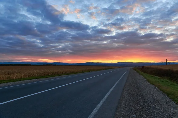 Campagne Route Asphaltée Mouvement Avec Des Arbres Contre Ciel Nocturne — Photo