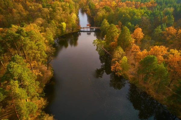 Aerial View Autumn Park Lake Small Wooden Bridge Walking Autumn — Stock Photo, Image