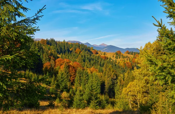 Der Rasen Wird Von Den Sonnenstrahlen Erleuchtet Majestätische Ländliche Herbstlandschaft — Stockfoto