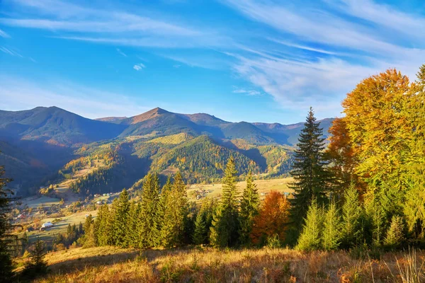 beautiful mountains and pines, View of mountains and pines in autumn, Aerial View On Spacious Pine Forest At Sunrise, mountain and pine view