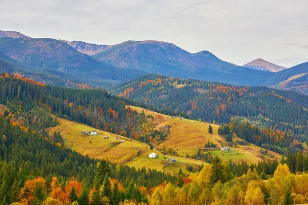 罗马尼亚特兰西瓦尼亚山区五彩缤纷的秋天风景与篱笆 — 图库照片