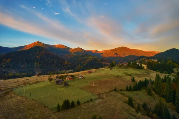 Aerial drone view over autumn forest. Colorful trees in the wood. Autumn background, aerial drone view of beautiful forest landscape with autumn trees from above.