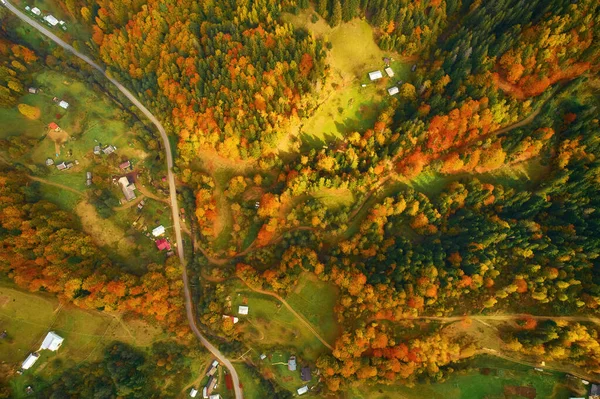 Aerial drone view over autumn forest. Colorful trees in the wood. Autumn background, aerial drone view of beautiful forest landscape with autumn trees from above.