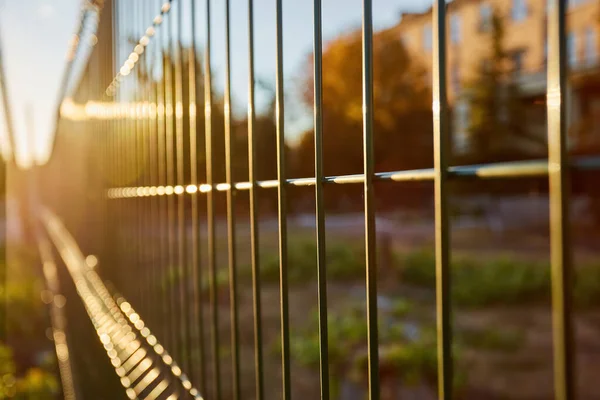 Narrow Dark Green Fence Bars Evening Autumn Sun Glare — Stock Fotó