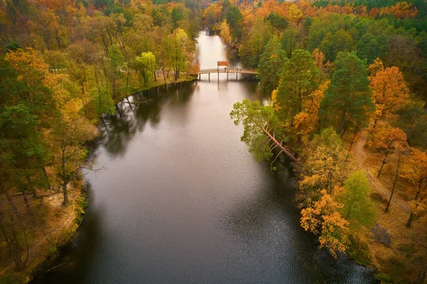 Aerial View Autumn Park Lake Small Wooden Bridge Walking Autumn — Foto Stock