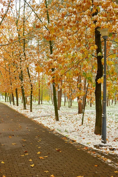 가을에는 공원에 첫눈이 내린다 황금빛 오렌지색 잎들이 눈으로 골목길에 벤치가 — 스톡 사진
