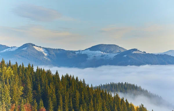 Mooie Bergbossen Omvatten Met Een Heleboel Mist — Stockfoto