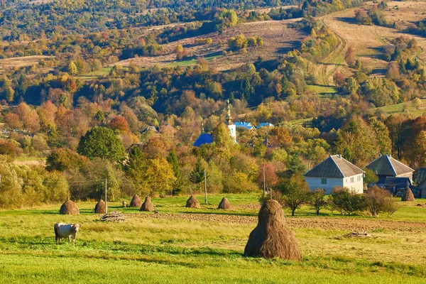 Autumn Landscape Haystacks Pasture View Mountains Carpathians — Stock Photo, Image