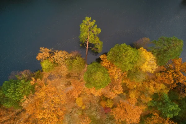 Aerial Drone View Colorful Top Forest Lake Autumn — Stock Photo, Image