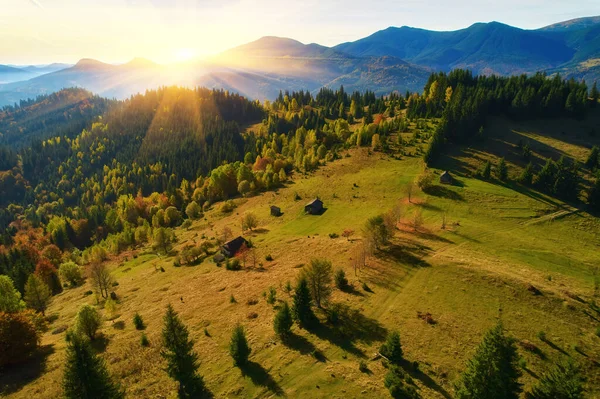 Aerial view of mountains at sunrise in autumn in Ukraine. Colorful landscape with mountain road, forest, houses on the hills, sunlight, sky in fall. Top view of roadway and village