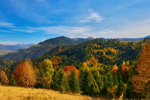 Scène Paysage Automne Coloré Avec Clôture Transylvanie Montagne Roumanie — Photo