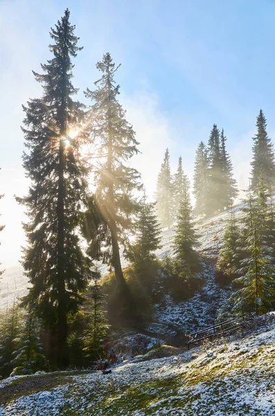 Beau Brouillard Par Une Matinée Ensoleillée Montagne Vue Sur Paysage — Photo