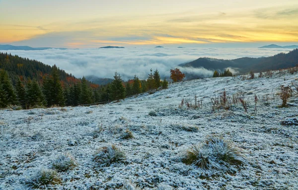 Primeira Neve Floresta Nas Montanhas Dia Outubro Ensolarado — Fotografia de Stock