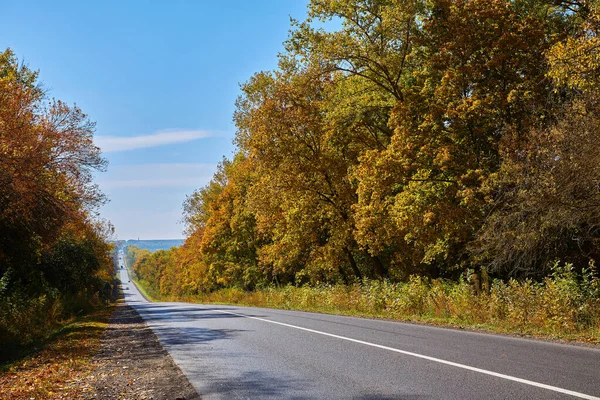 Asphaltierte Straße Mit Umgefallenen Blättern Inmitten Des Herbstwaldes Fokus Auf — Stockfoto