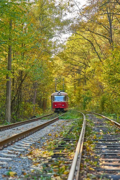 Tramvay Yolcu Ile Şehirde Otobüs Durağındaki Sabahın Erken Saatlerinde Yola — Stok fotoğraf