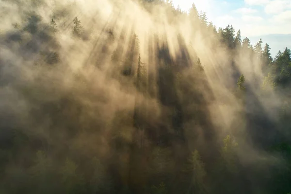 Berge Wolken Bei Sonnenaufgang Sommer Luftaufnahme Des Berggipfels Mit Grünen — Stockfoto
