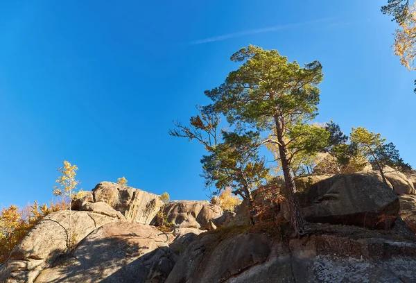 Dovbush rocks, group of rocks, natural and man-made caves carved into stone in the forest, named after the leader of the opryshky movement Oleksa Dovbush.