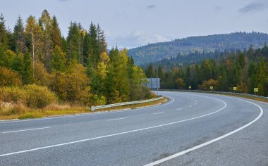 Sonbahar ormanlarında yaprakları dökülen asfalt yol. Önplana odaklan.