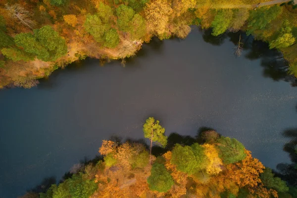 Drone View River Flowing Beautiful Autumn Forest — Stock Photo, Image