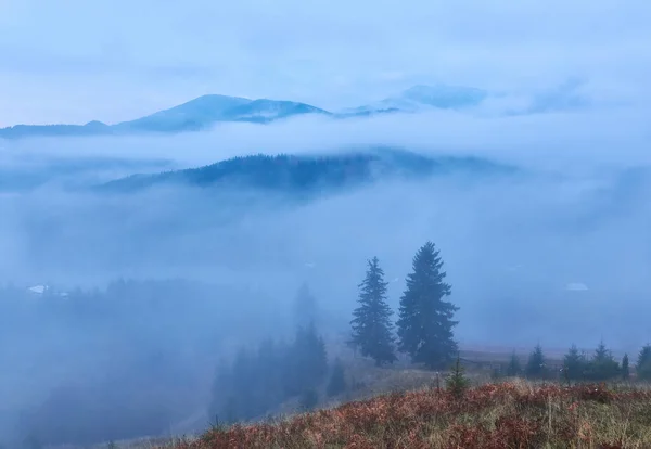 Der Rasen Wird Von Den Sonnenstrahlen Erleuchtet Majestätische Ländliche Herbstlandschaft — Stockfoto