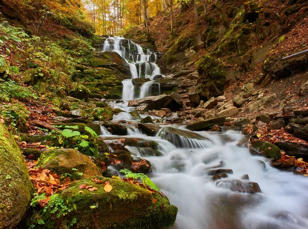秋天森林中的河流瀑布 秋天的森林瀑布 秋天森林里的瀑布秋天的瀑布景观 — 图库照片