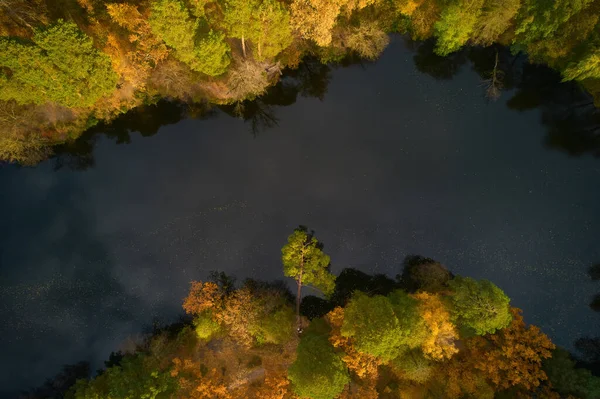 Autumn Trees River Bank Aerial Drone View — Stock Photo, Image