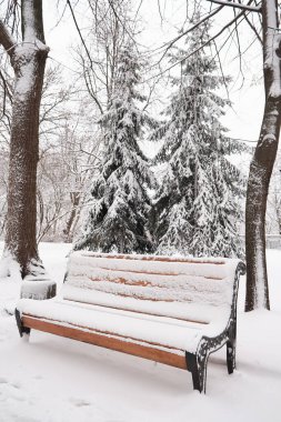 Kış kenti parkındaki banklar. Karla dolu. Karla kaplı ağaçlar.