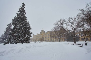 Ulusal üniversitenin eski binası. Kasabada kış. Peyzaj arka planı. Kyiv Teknik Üniversitesi.