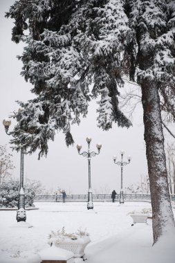 Parkta kar kaplı bir bank.