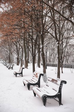 Parkta bankta Kışın karda