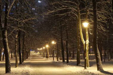 Yılbaşı ağacı ve kar altında parlayan fener manzarası. İyi geceler..
