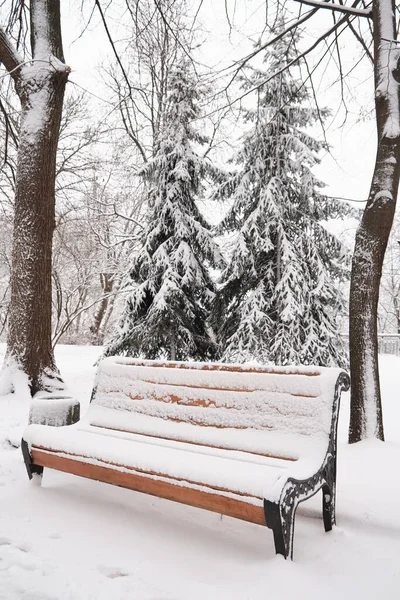 Скамейки Зимнем Городском Парке Наполненный Снегом Заснеженные Деревья — стоковое фото
