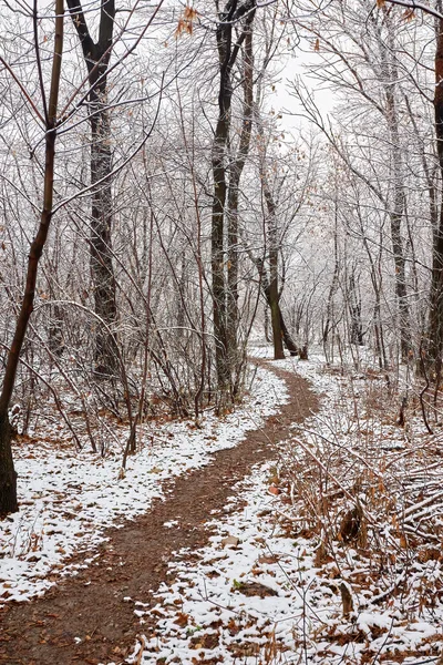 Kış Şehri Manzarası Kış Parkı Karla Kaplı Şehir Parkında Karla — Stok fotoğraf