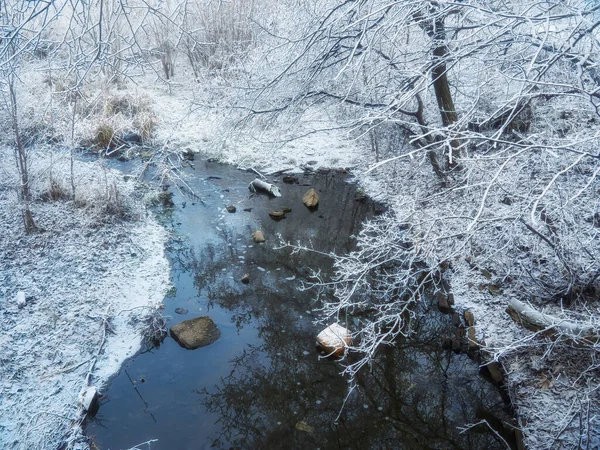 Anatre Selvatiche Sulla Neve Inverno Sul Ghiaccio Del Fiume Vista — Foto Stock