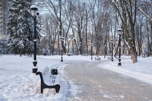 Bancos Parque Invierno Ciudad Lleno Nieve Árboles Cubiertos Nieve —  Fotos de Stock