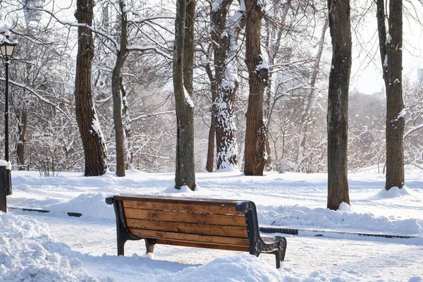 Скамейка Парке Покрытая Снегом — стоковое фото