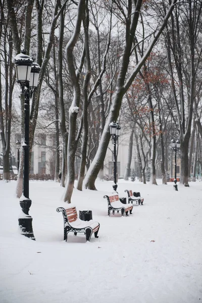 Bancs Dans Parc Ville Hiver Rempli Neige Arbres Couverts Neige — Photo