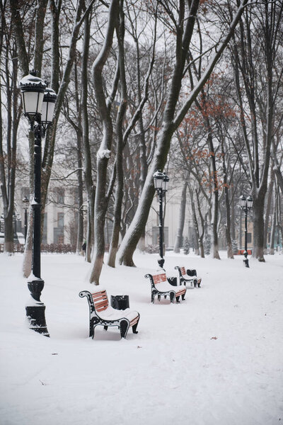 Benches in the winter city park. Filled up with snow. Snow covered trees.
