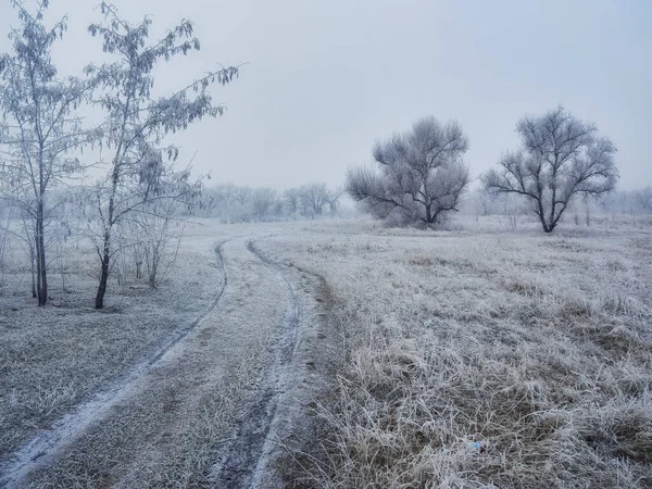 Kış Şehri Manzarası Kış Parkı Karla Kaplı Şehir Parkında Karla — Stok fotoğraf