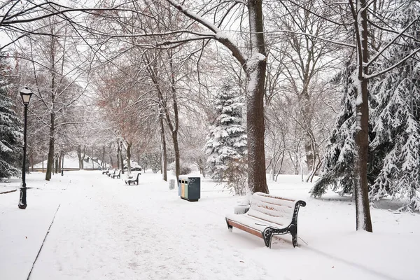 公園の雪に覆われたベンチは — ストック写真